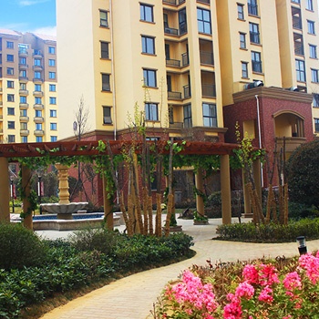 安陽湯陰森林半島-觀筑